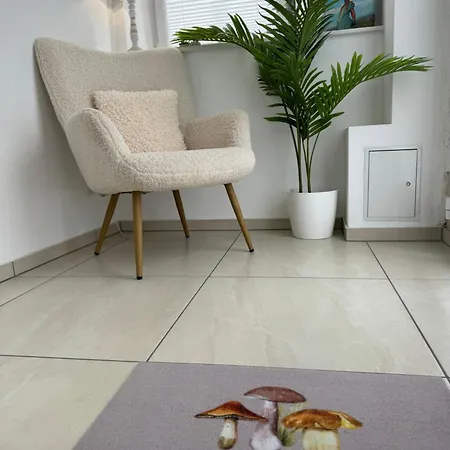 Gemuetlich & Einzigartig: Altbauloft In Apartment