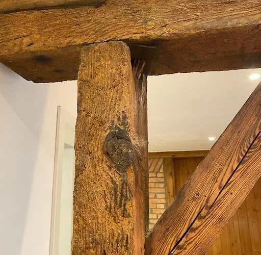 Gemuetlich & Einzigartig: Altbauloft In Apartamento Edenkoben